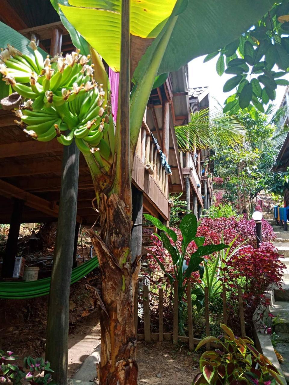 Happy Elephant Bungalows Kaoh Touch Bagian luar foto